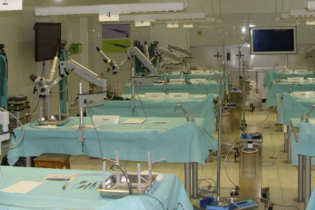 Laboratory of Anatomy & Surgical Anatomy